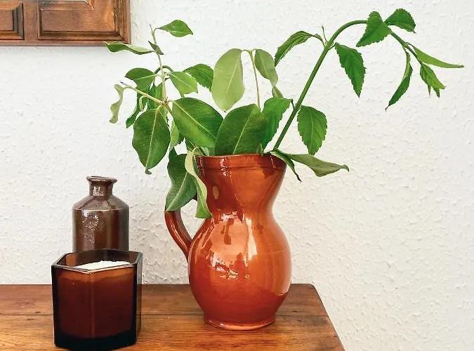 Casa Yaya Апартаменты