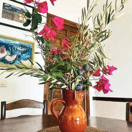 Appartement Casa Yaya