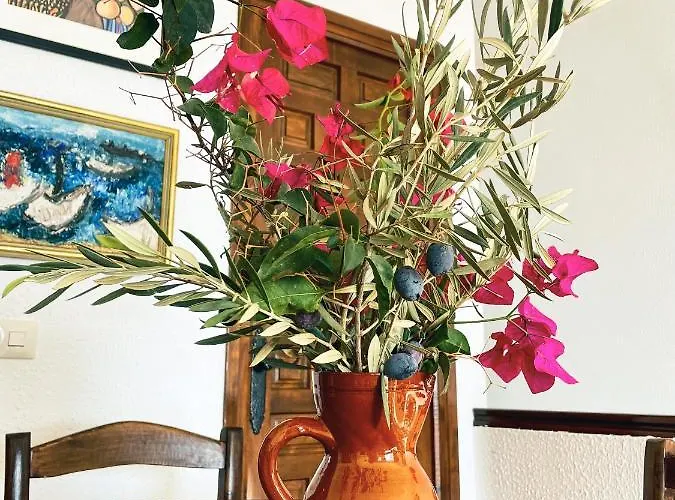 Apartament Casa Yaya